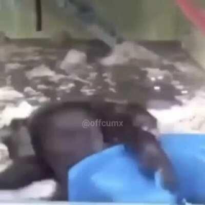 NOOO MONKI SNIPER PORQUE?