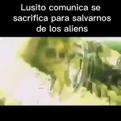 Nooooooo luisito 😞