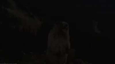 How's the region lock treating everyone this late wipe?