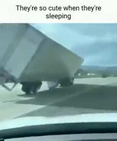 Awwww thats adorable