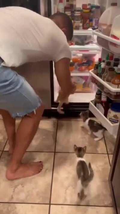 I would do the same to get away from this heat.