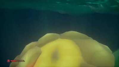 When you've boobytrapped their boat, and they harpoon a keg...