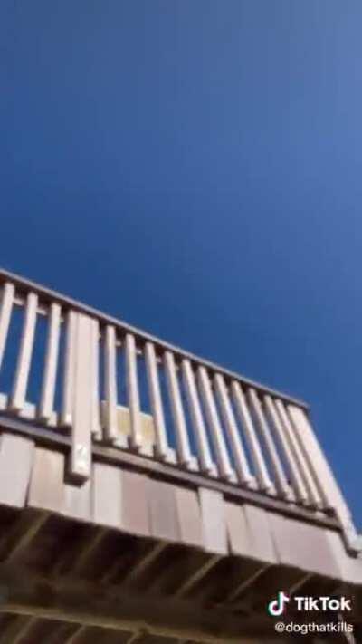 Ground level view of the Boeing 777 that had an engine failure. Feb 20