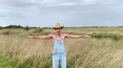 Historia de un espantapájaros