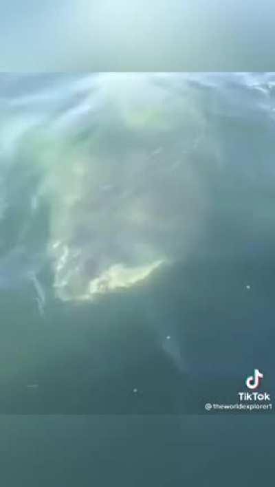 The way he just disappears gives me chills