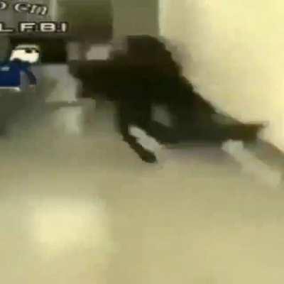 Umm Michael Jackson?