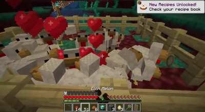 Just feedin my chickens