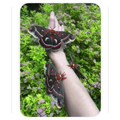 Year nine of rearing begins.