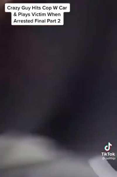 Dude sideswipes cop, runs from police, then plays victim once he gets arrested