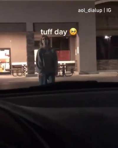 Golden retriever energy