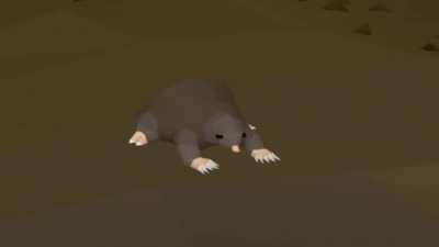 Don't bring your pets in the wilderness