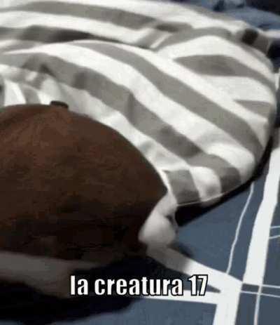 la creatura 17 aka eater of souls