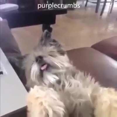 It's Death Battle day ! (I'm gonna post this every time a new episode drops I'm telling you)