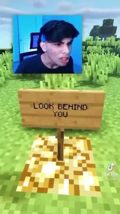 BUG CHUNGUS 😳😳