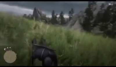 They planned this attack..