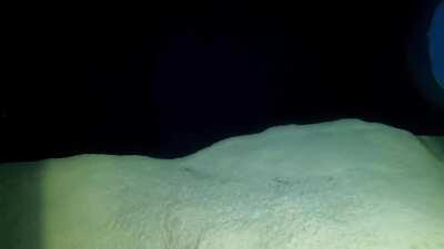 Footage of the giant statue face from Deepspot: the worlds deepest pool in Mszczonow, Poland (link to the channel in the comments)