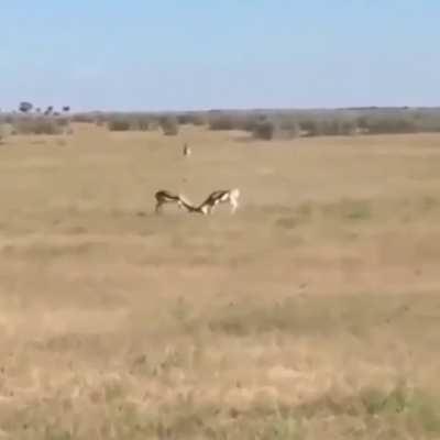 🔥 survival of the fittest.. or at least of those who are paying attention 🔥