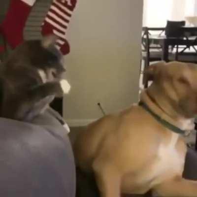 Excuse me! Excuse me Sir!