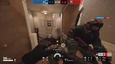 oryx feels what its like to be flattened