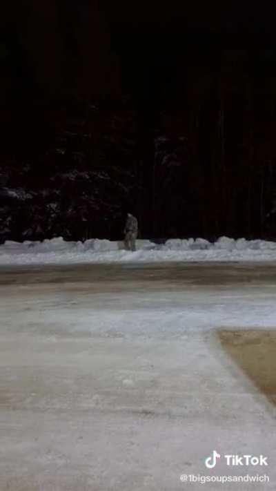 When did Bill Burr enlist. I’m happy he’s salty enough to melt that snow.