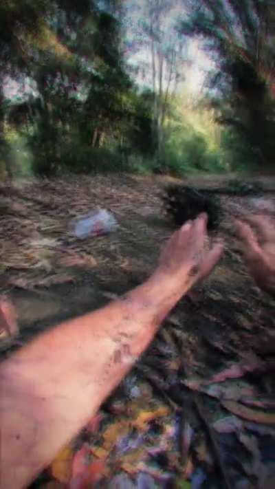 tiktok struck down my grimace shake review... so maybe it will survive here