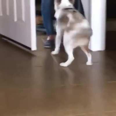 Wiggle, wiggle, wiggle