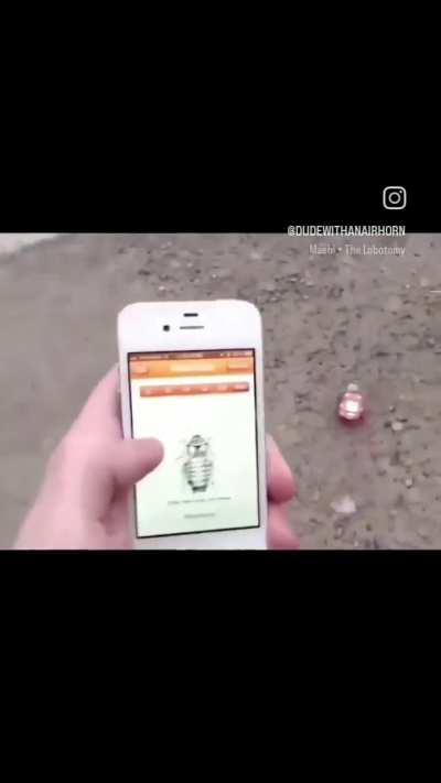 odio a las cucarachas, pero esto es horrible