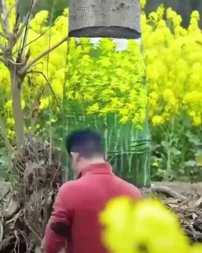 A tree painted to appear see-through!