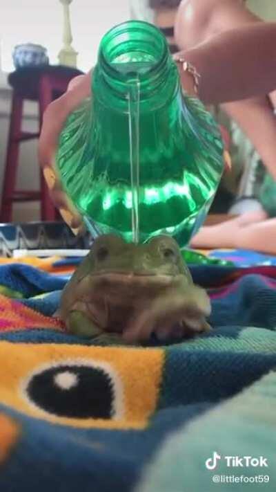 All praise our lord hydro froggo
