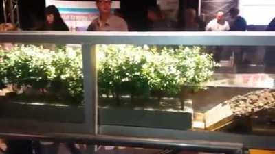 Барьер от волн