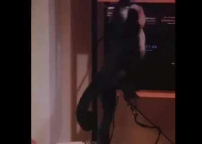 There is no wrong time to listen to the robots