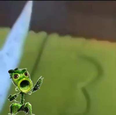 Peashooter shows you how to cut a xan cake