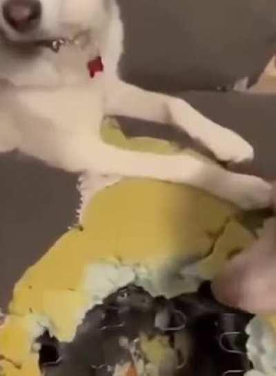 Хорошие мальчики помогли котику выбраться