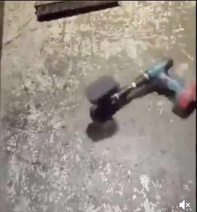 Rotator, the earth dweller