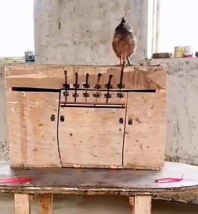 the heart wants what the heart wants