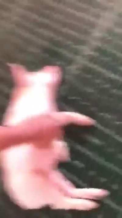 Juan wake up please, dos cervezas amigo 