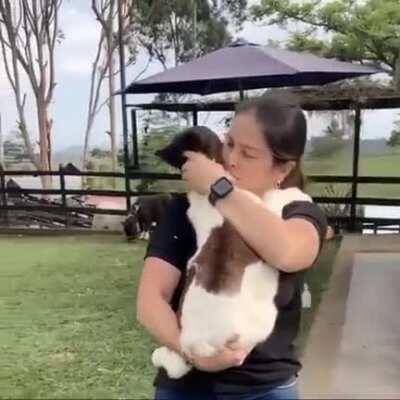 Me every day with my shares.