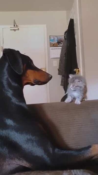 Criminal caught attacking a helpless victim
