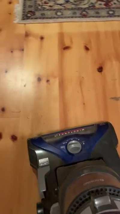 My moms vacuum is something out of nightmares