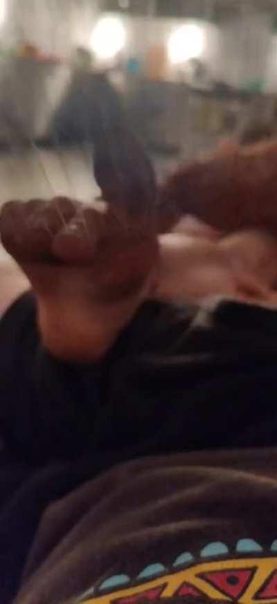 Bug zapper + wife's toe