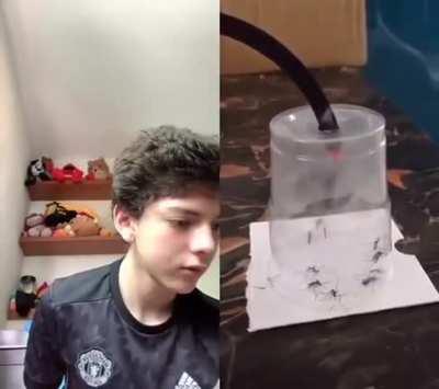 NO AL MALTRATO ANIMAL MIS PANAS😔✌