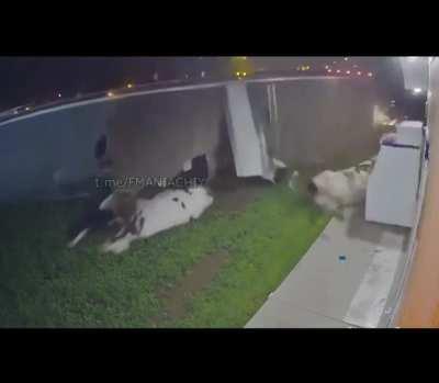 Пизда котлетам