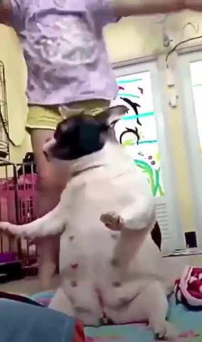 Does your dog bite? No, he dances ...
