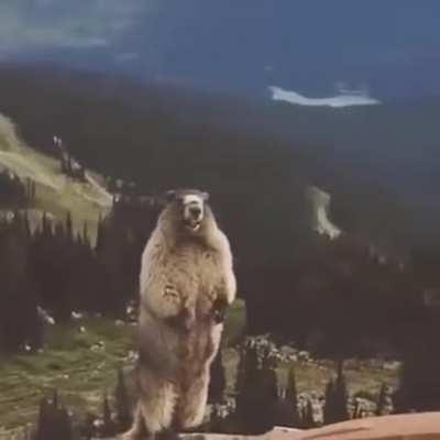 Unfortunately due to personal reasons