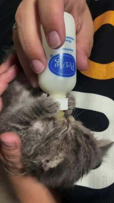 serious feeding time for the new guy