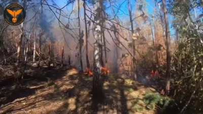 An Australian volunteer captures footage of his mission near Chasiv Yar in the Donetsk region. The video shows him assisting wounded Ukrainian soldiers as a combat medic, engaging Russian positions, and targeting drones. Highly recommended to watch with t