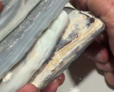 “The good stuff” Mintabie Grey Base My favourite of all the worlds opals❤️ I mined in the mid 80s 🍻⛏️🍌