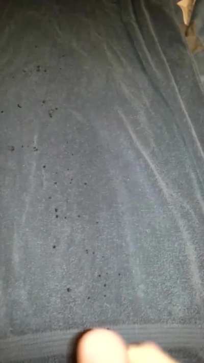 I think the 10th spurt went twice as far as the 5th spurt😅