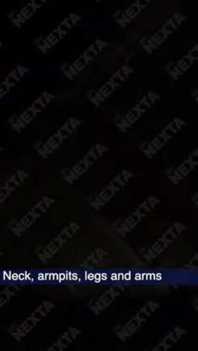 Belarusian border guards : 