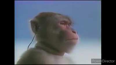 Binging both MOTMs anxiously waiting